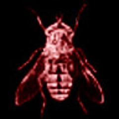 @buggr prod. typhelicia