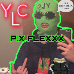 P.X FLEXXX