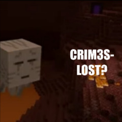 crim3s lost rmx
