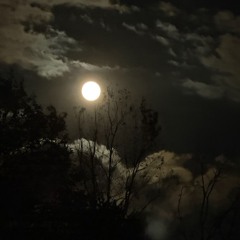 Phase / Shift (GridClock & KvMxS)