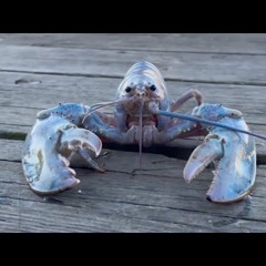 spanish skeleton argument (full)