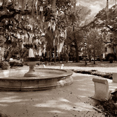 Bury Me In Dixie- (Logan's Remix)