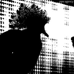 White Wide Open Spaces