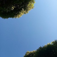 Вљубена изгубена