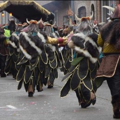 carnaval ninove 2025🎉