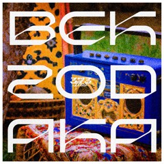 BEK ZOD AKA (FREE DL)