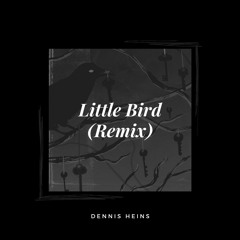 Little Bird (Remix)