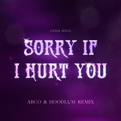 LYDIA - SRY IF I HURT YOU [ ARCO X HOODLUM REMIX ]