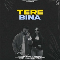 Tere Bina - Garry Sandhu ft Miss Pooja | New Punjabi  Song 2024
