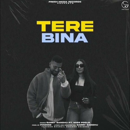Tere Bina - Garry Sandhu ft Miss Pooja | New Punjabi  Song 2024