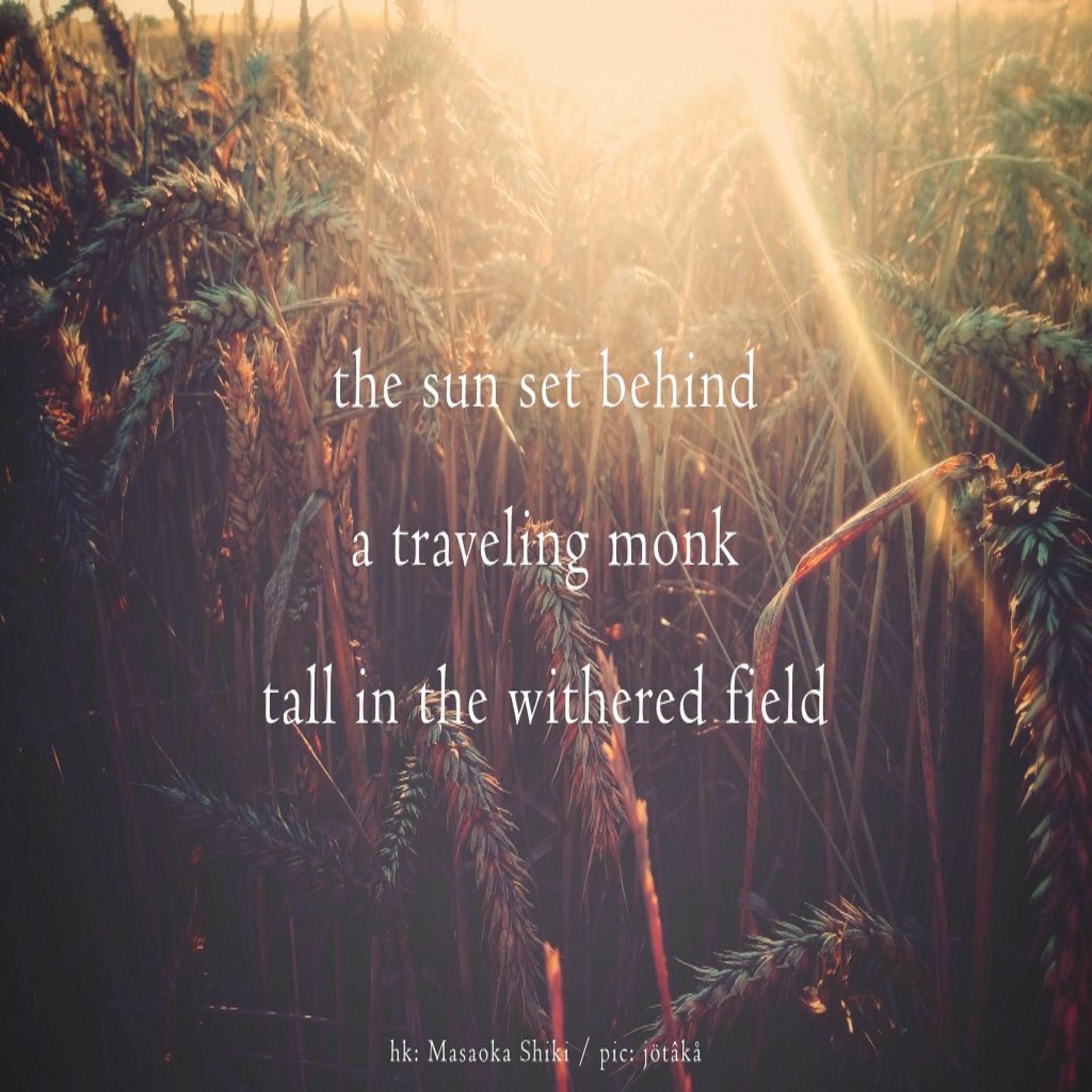 OneAmbient4 - The Sun Set Behind The Withered Field (Naviarhaiku 322) episode artwork