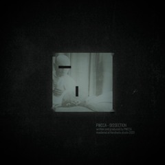PWCCA - Dissection (Original Mix)