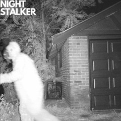 NIGHT STALKER