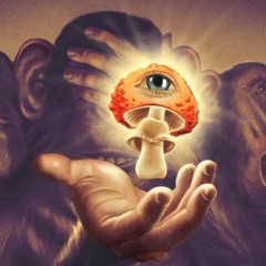 We Like To Baddadan (Dankhai Shroom X Dirt Monkey Mashup)
