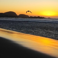 Quiero cantarte 💝 -2era maketa 14f