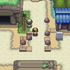 NAtu