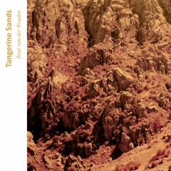 René Van Der Wouden - Tangerine Sands (Demo Mix)