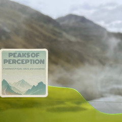 Peaks of perception opening and arrival 25