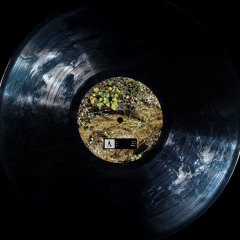 YS - Burn 12"- PERF000 (Pace Yourself & Erf Records)
