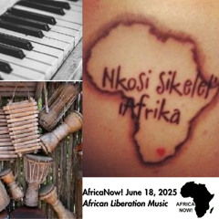 AfricaNow! Jun. 18, 2025 African Liberation Music