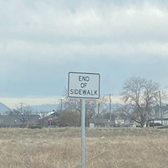 Rose (live at june audio)