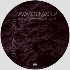 STR & Tim Tycoon - Awakenings (Sami D. Remix) [PREVIEW]
