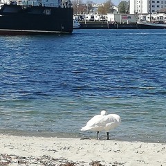 una cueva en la escollera