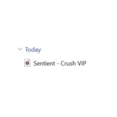 Crush VIP (bandcamp exclusive)