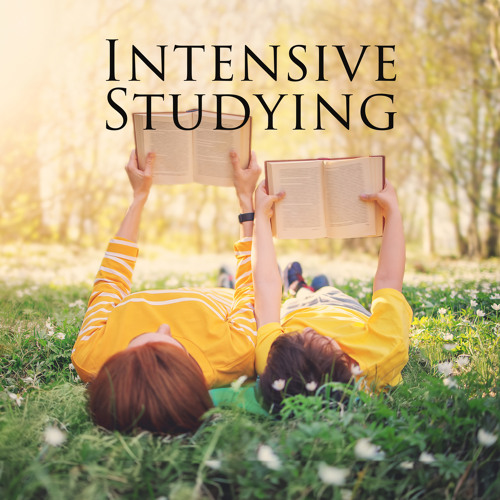 Stream Study Oasis by Brain Study Music Guys | Listen online for free ...