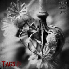 tags (feat. zodiak, Drein) [barloss]