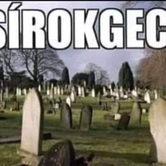 sírokgeci