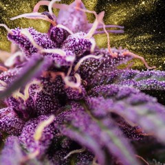 I DONT SMOKE WHATEVER