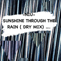 -NIU- SUNSHINE THROUGH THE RAIN  (DRY MIX)