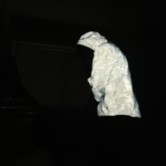 Masada831 "depression" (prod. Moneybagmont)