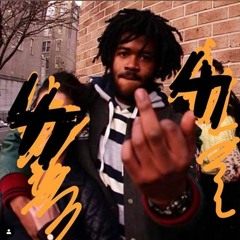 Black Petunia - Capital STEEZ Only