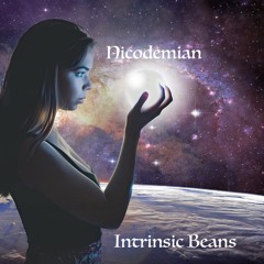 Intrinsic Beans