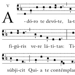 Meditation on Adoro te devote