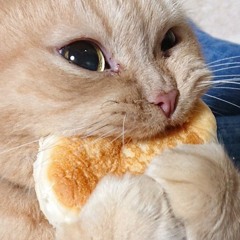 재규어 중사 (SFC.JGR) 8시 8분 cover