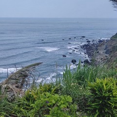 bloom Lofi eugene .m4a