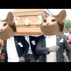 coffin dance pop cat mode