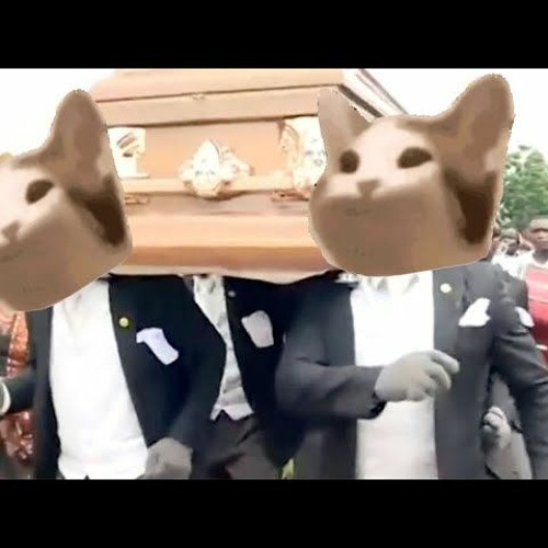 coffin dance pop cat mode