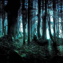 Dark Illusion