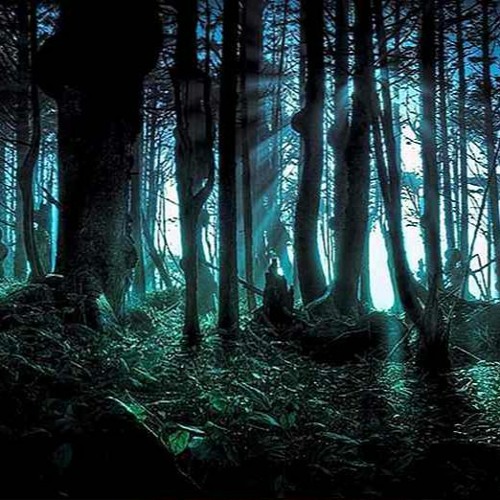 Dark Illusion