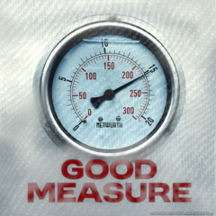 NETWURTH - Good Measure