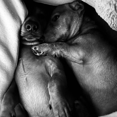 Richard Lindsay - Its All About Love