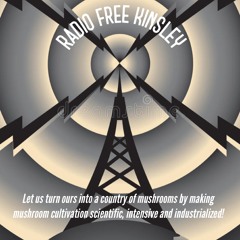 Radio free kinsley 5