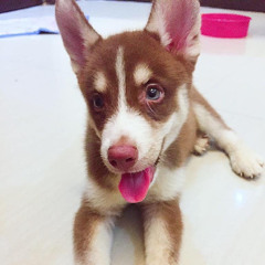 Sigurado by Belle Mariano Cover