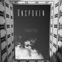 Tribetek - Unspoken ( RAW Mix.)