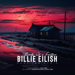 BIRDS OF A FEATHER (Remix)