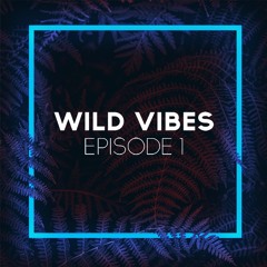 Wild Vibes Episode 1 || ATNT